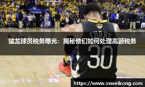猛龙球员税务曝光：揭秘他们如何处理高额税务
