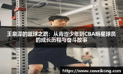 BB贝博艾弗森官网